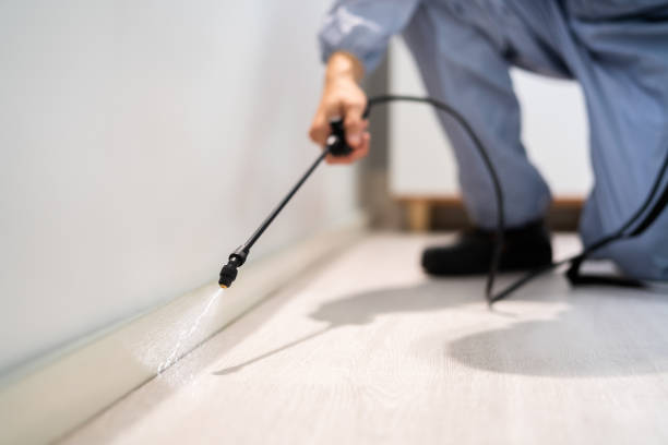 Licensed Termite Control service in Lake Wissota, WI - Nex Pest Control