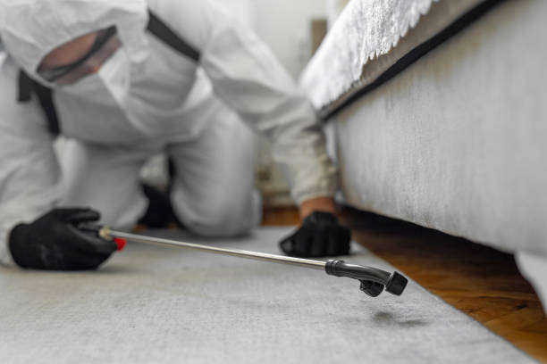Professional Termite Control technician working in Lake Wissota, WI