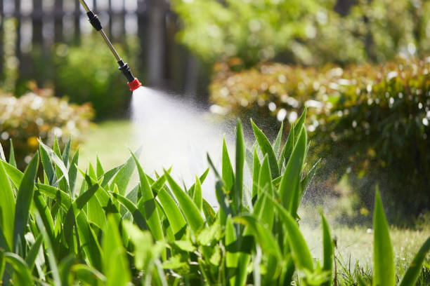 24/7 Emergency Termite Control experts in Lake Wissota, WI