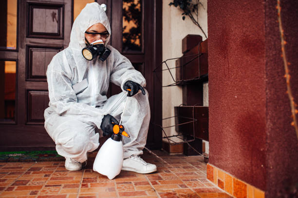 Reliable Termite Control contractor in Lake Wissota, WI by Nex Pest Control