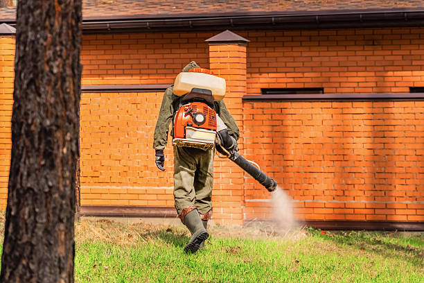 Trusted Rodent Control service in Lake Wissota, WI - Nex Pest Control